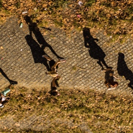 aerial shot of students in fall